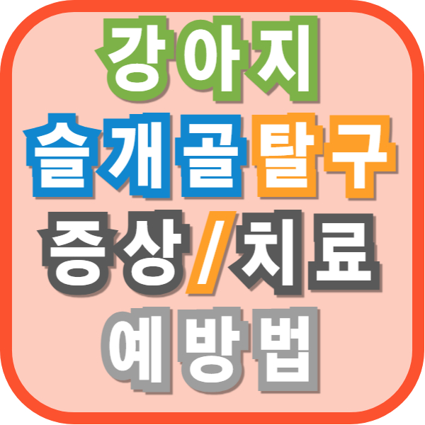 강아지 슬개골 탈구: 증상, 치료, 예방법 총정리