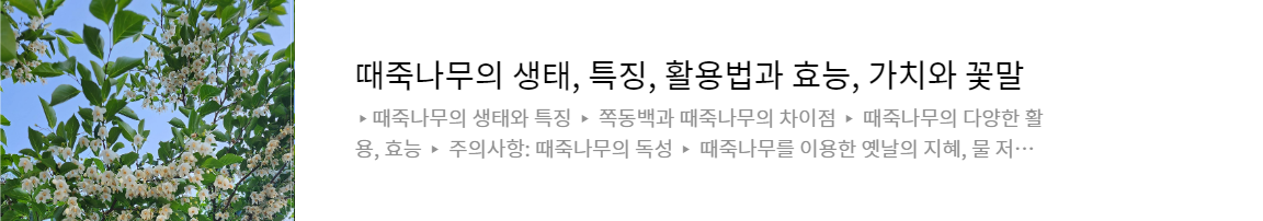 때죽나무의 생태, 특징, 활용법과 효능, 가치와 꽃말