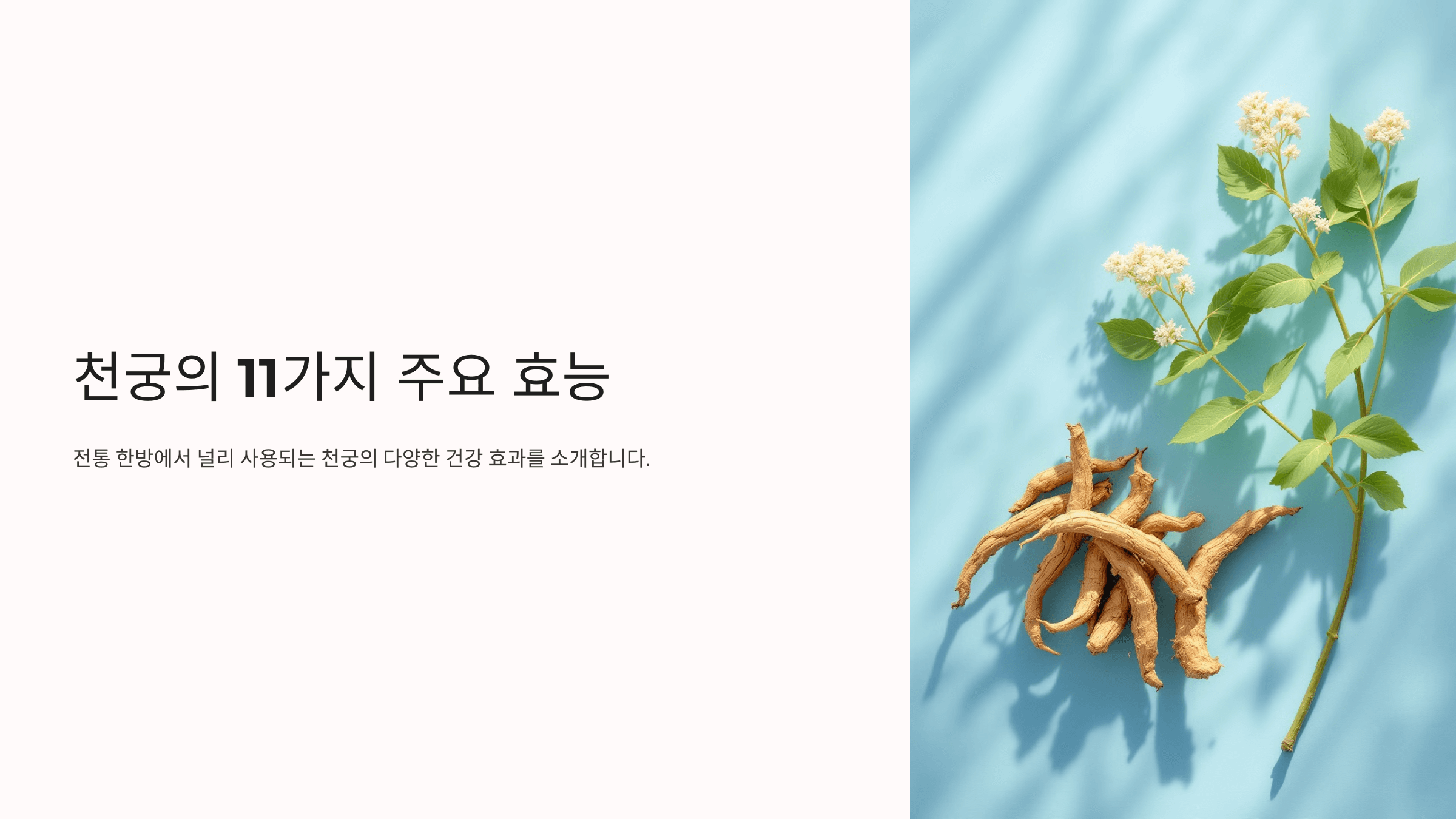 천궁 사진입니다.