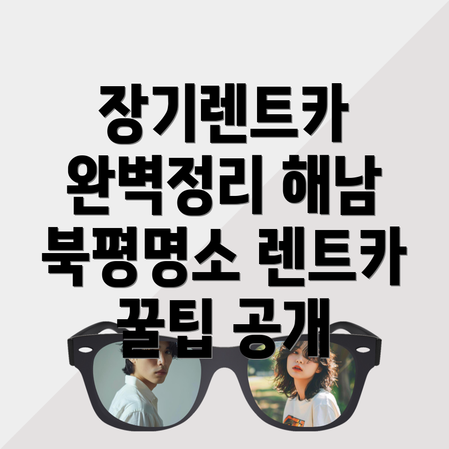 해남군 장기렌트카