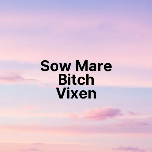 Sow Mare Bitch Vixen