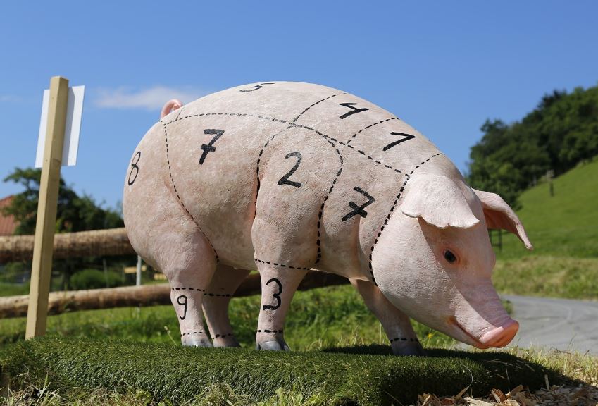 돼지고기 보관법 관련 사진