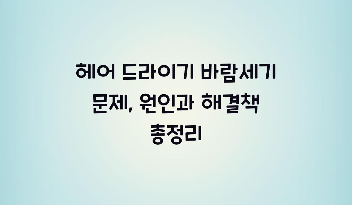 헤어 드라이기 바람세기 문제