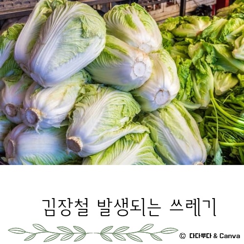 김장쓰레기 배출방법 배출요령 인천시&amp;#44; 서울시