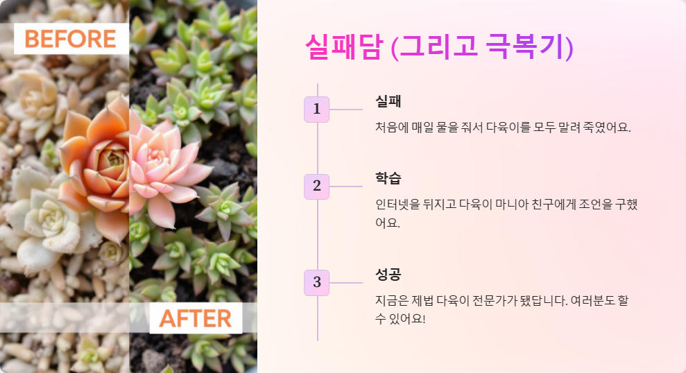 다육이 영양 불균형 증상과 해결책