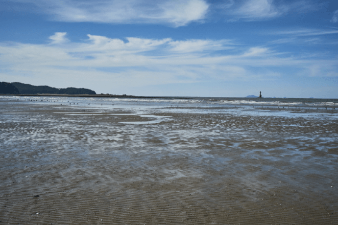 신두리해수욕장 (태안군)