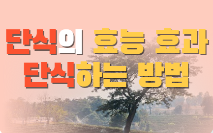 단식의 효능 효과 단식하는 방법