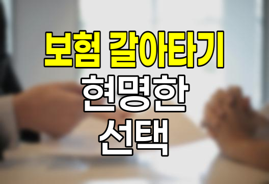보험 갈아타기의 함정과 현명한 선택법