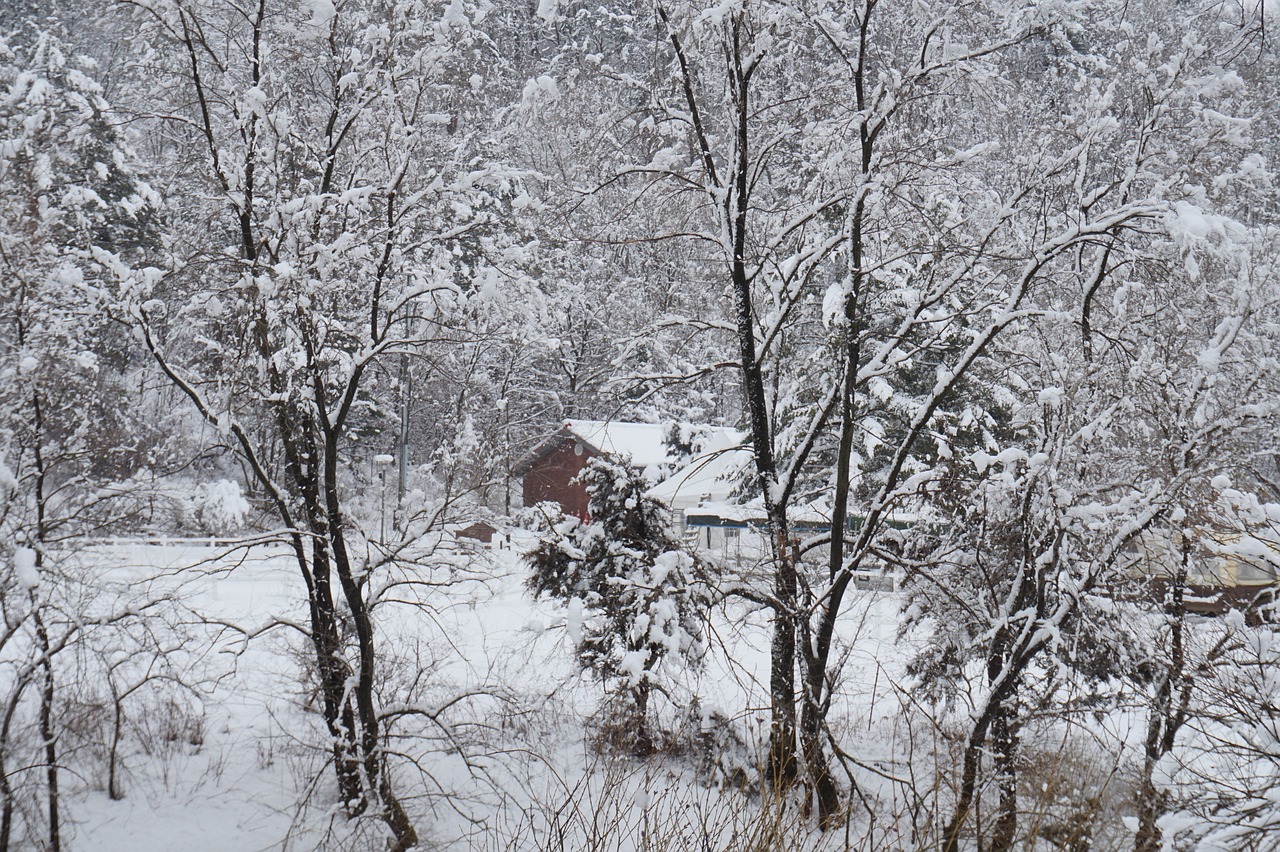 홋가이도 자유여행에서 대표적인 설경사진