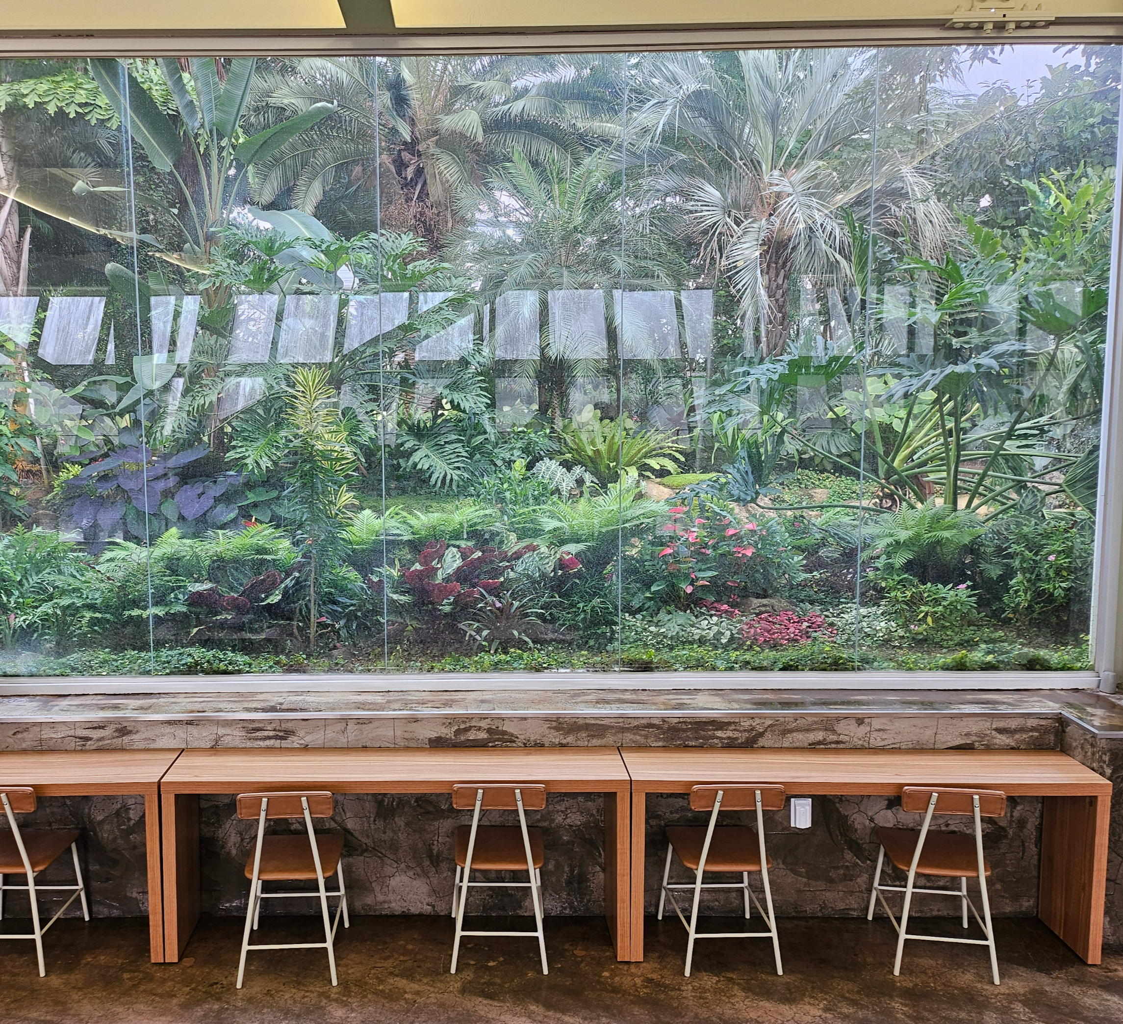 겨울 실내 아이와 가볼만한곳 부천호수공원 식물원 수피아