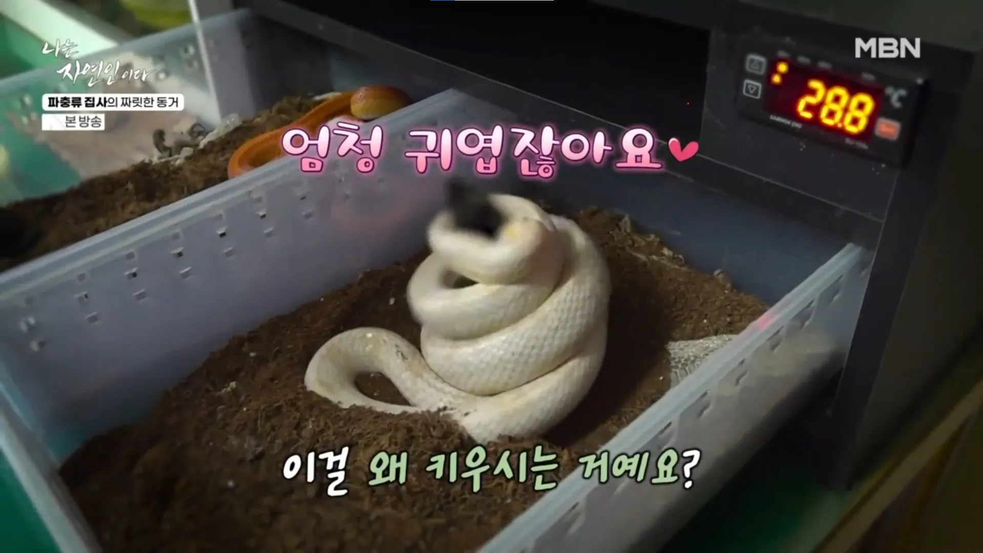 나는 자연인이다 640회
