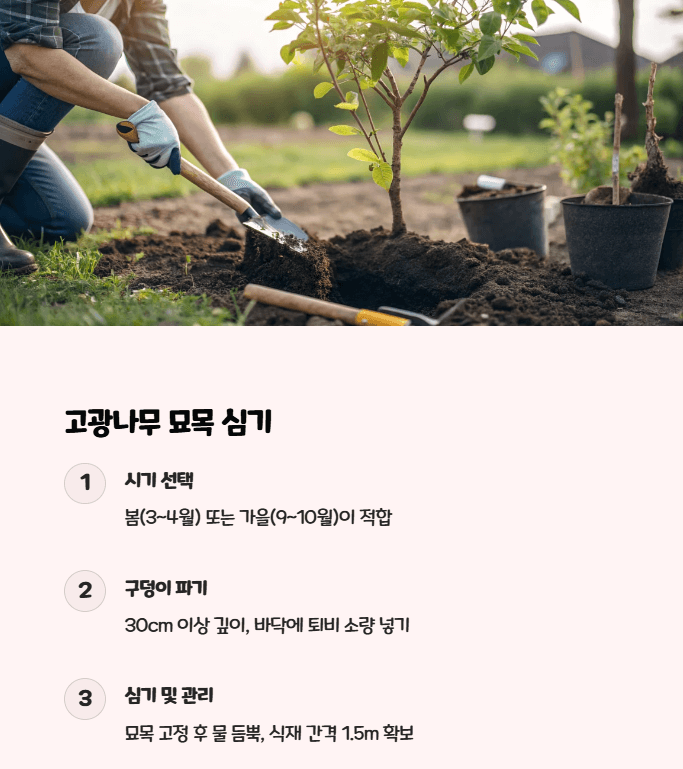 고광나무