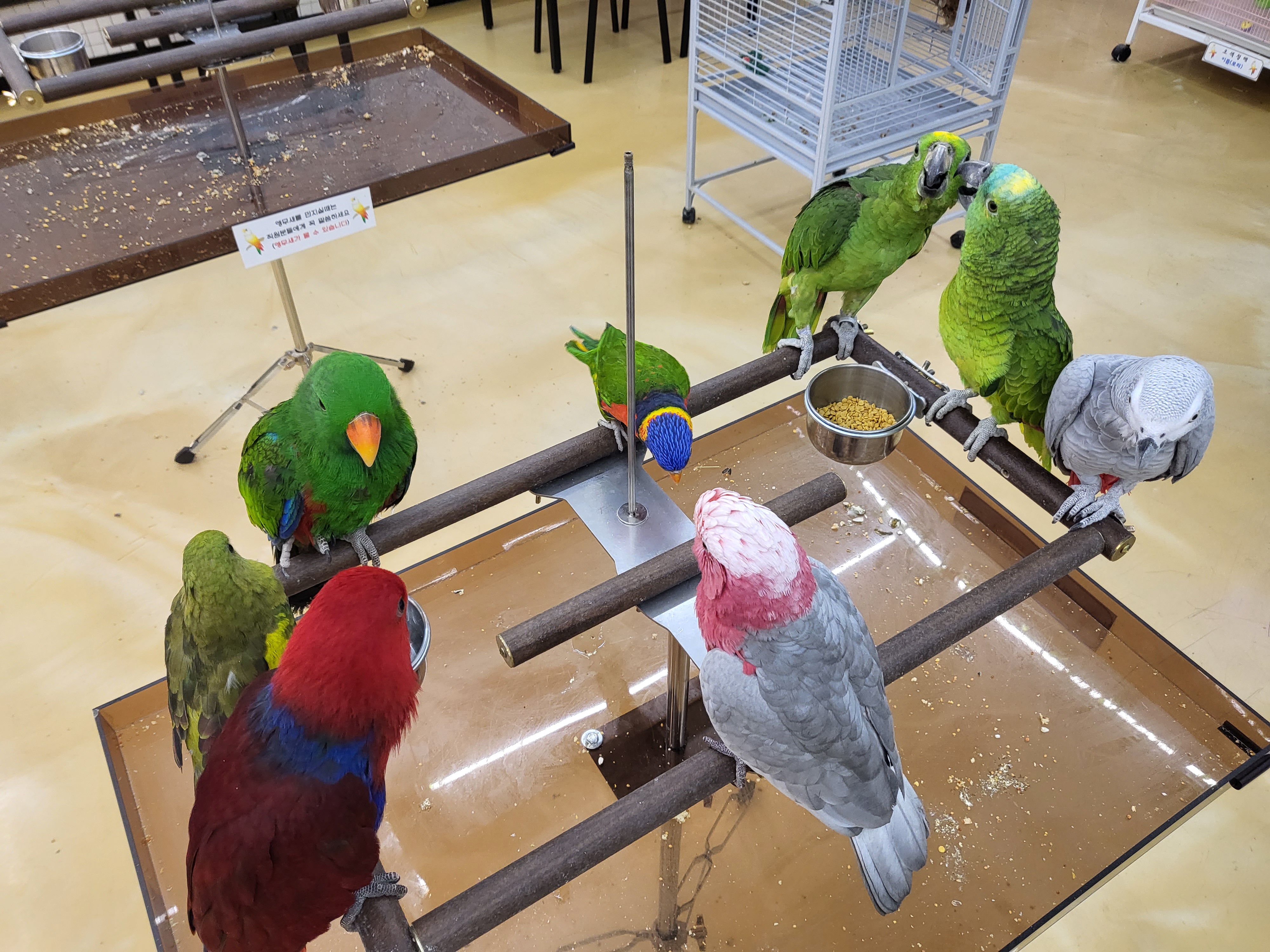 리프패럿 순천점