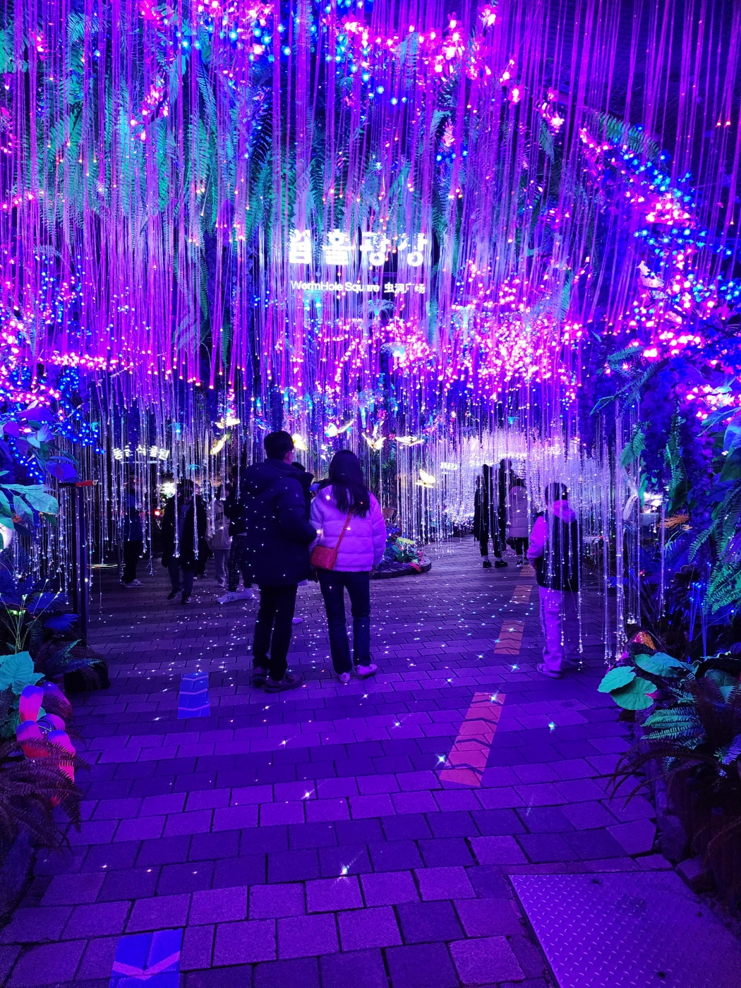 입구에는 신비로운 빛아트가 열려있어요