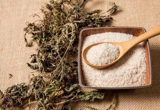 차전자피의-효능-변비-해결방법