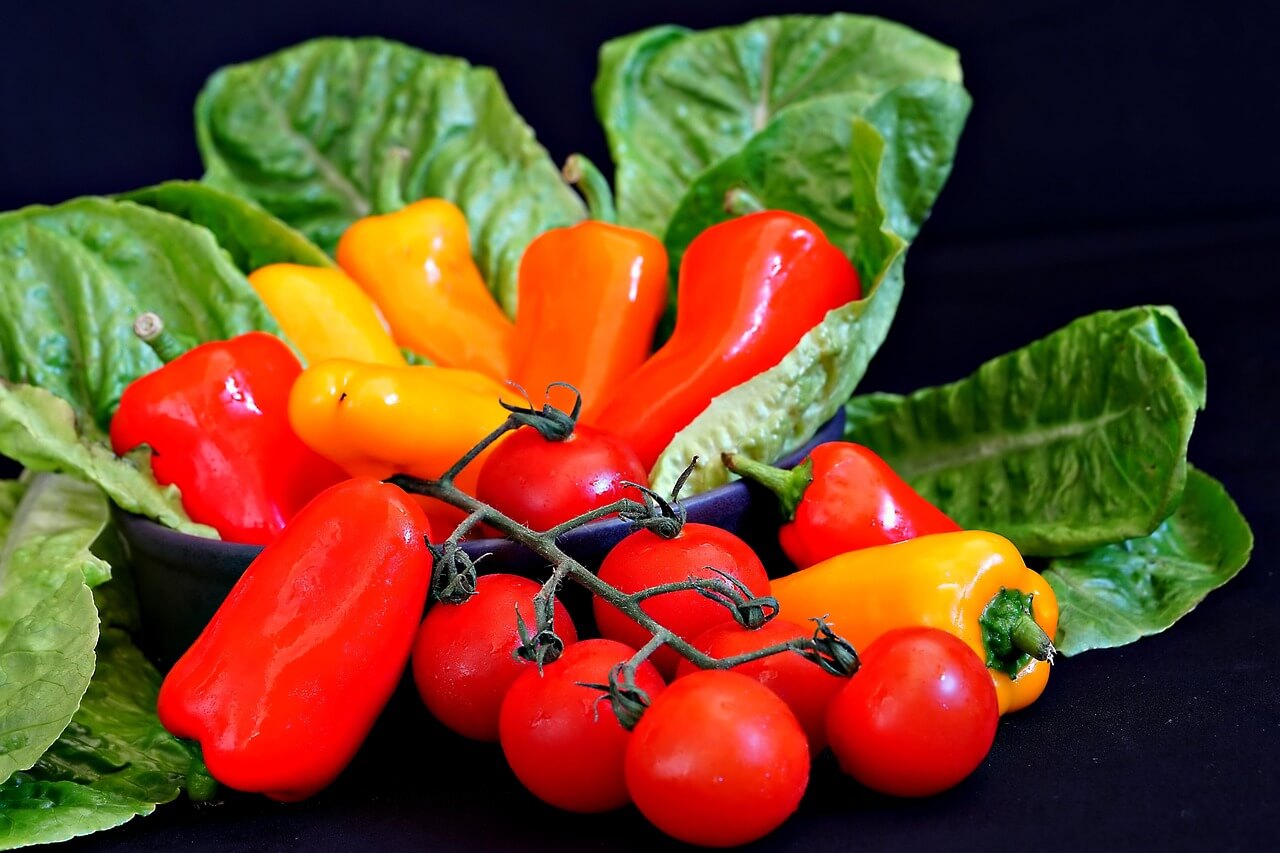 유럽 도시 수직 농장 정책