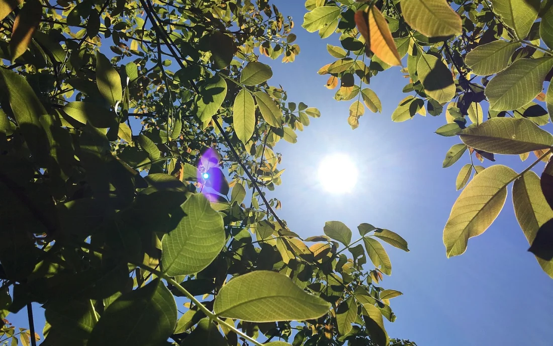 폭염 속 은행 마트 관공서
