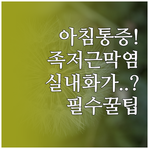 족저근막염 아침 통증 원인과 실내화 ..