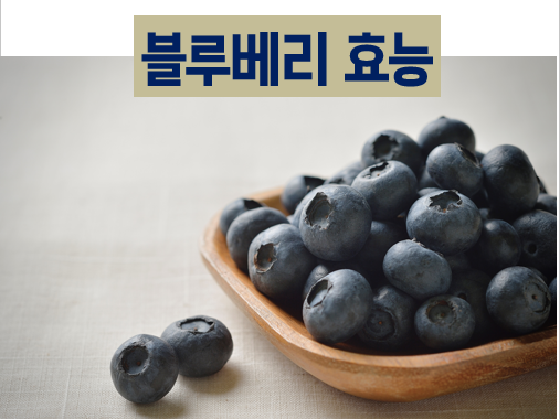 블루베리효능사진