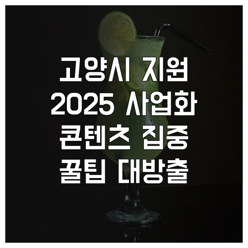 2025 고양시 콘텐츠 사업화 지원 ..