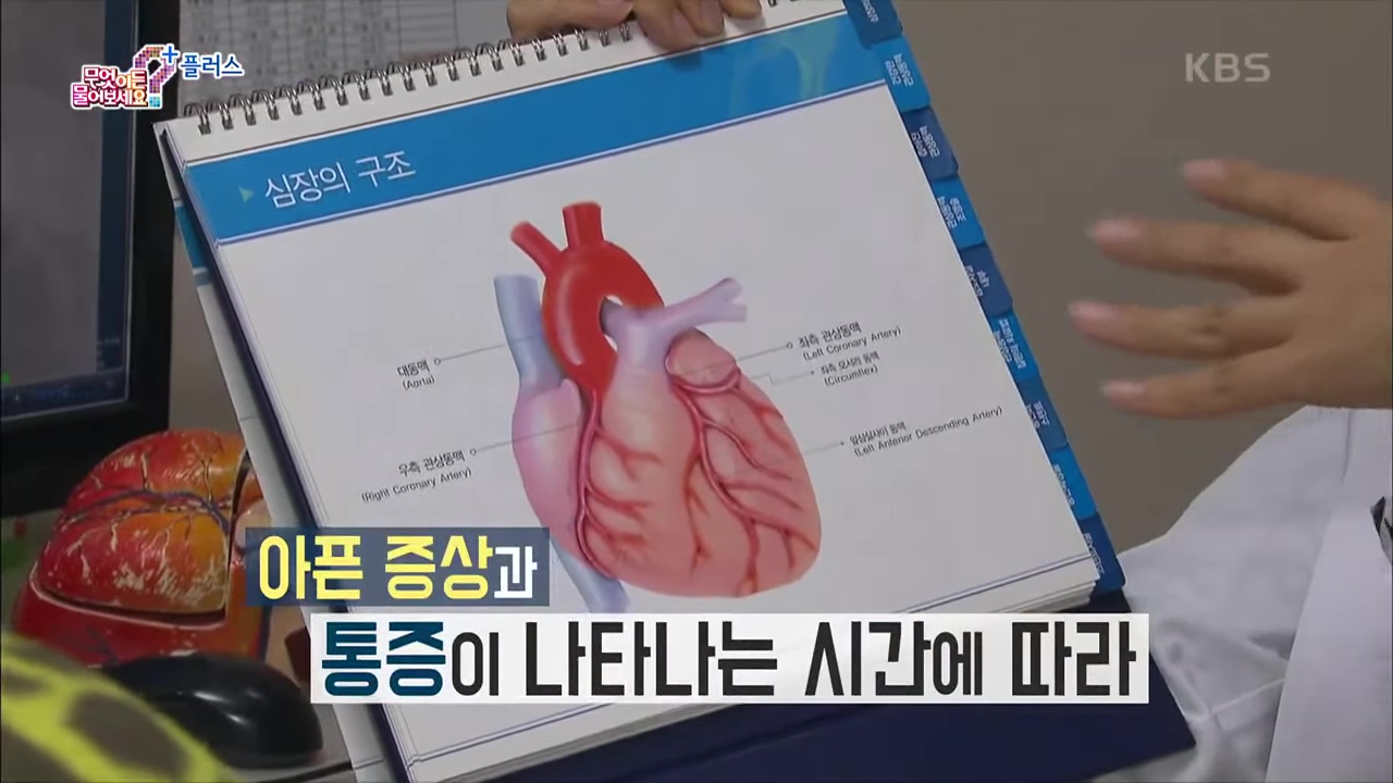 타는 듯한 통증 역류성식도염 심장질환 구분 및 쥐어짜는 듯 한 허혈성 심질환 협심증 심근경색 증상까지