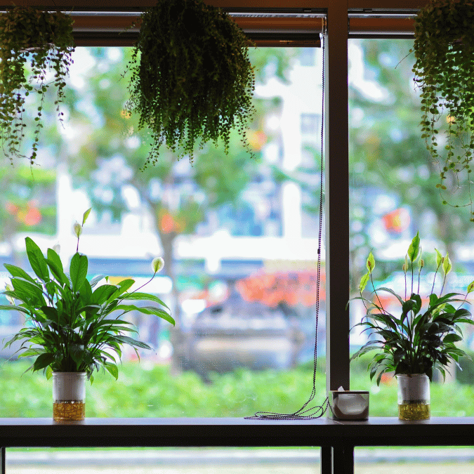 감성 사진을 위한 장소별 연출법 - 공간이 감정을 말하게 하다