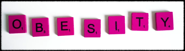 비만약 니들패치에 대해서 알아보자.