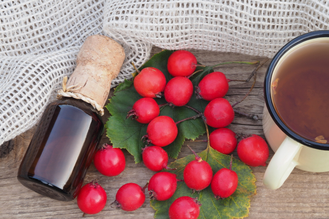 고혈압에 좋은 차