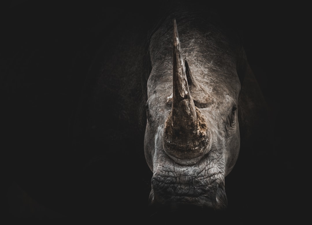 Conservation