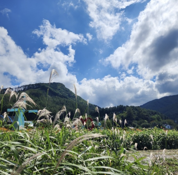 용수골 가을 사진