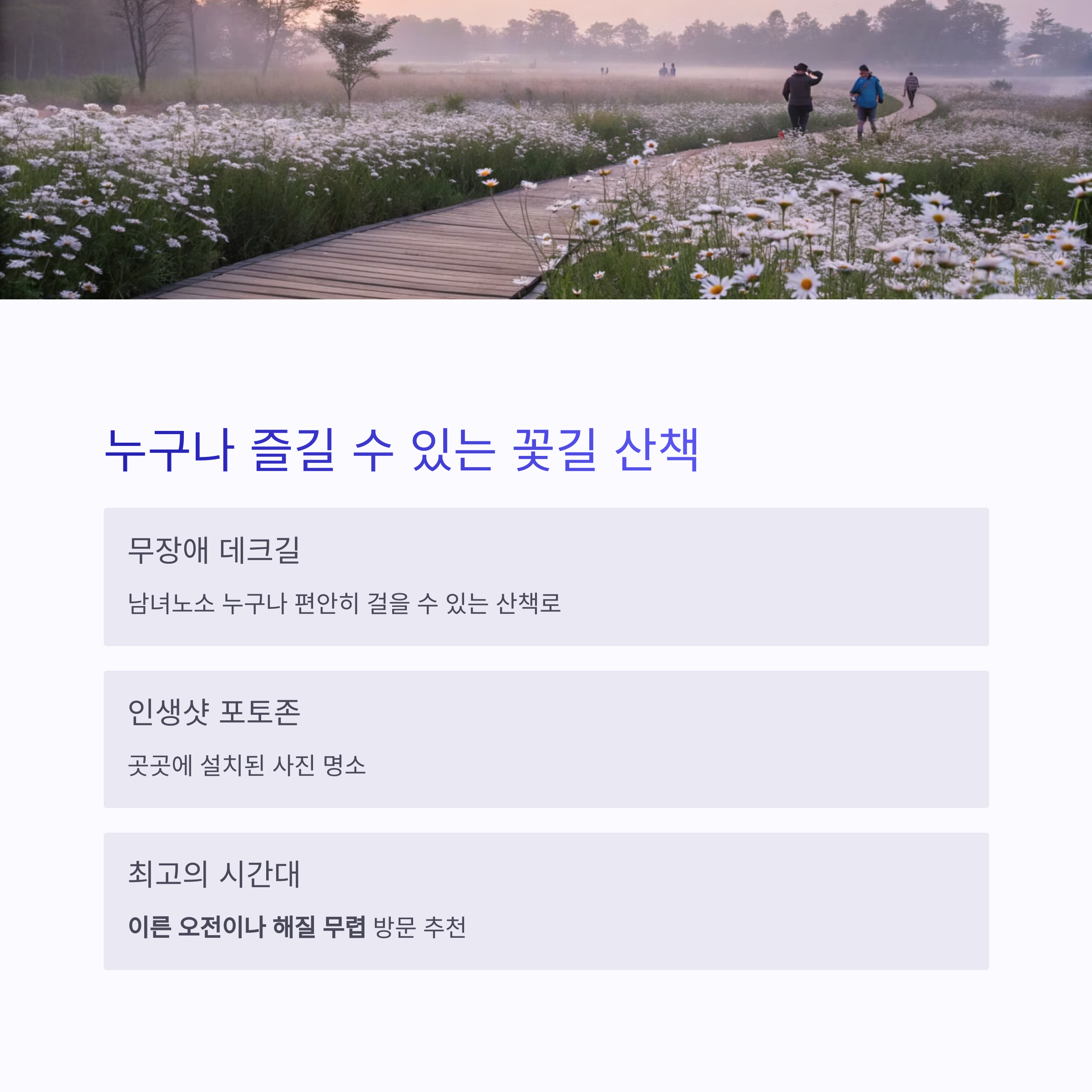 샤스타데이지 꽃길 따라 이어진 무장애 데크 산책로, 아침 안개 속 걷는 사람들의 풍경