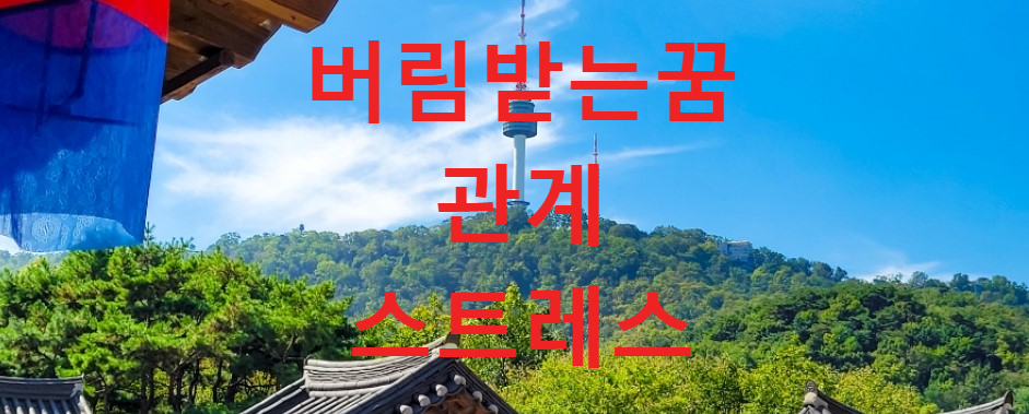 꿈과건강