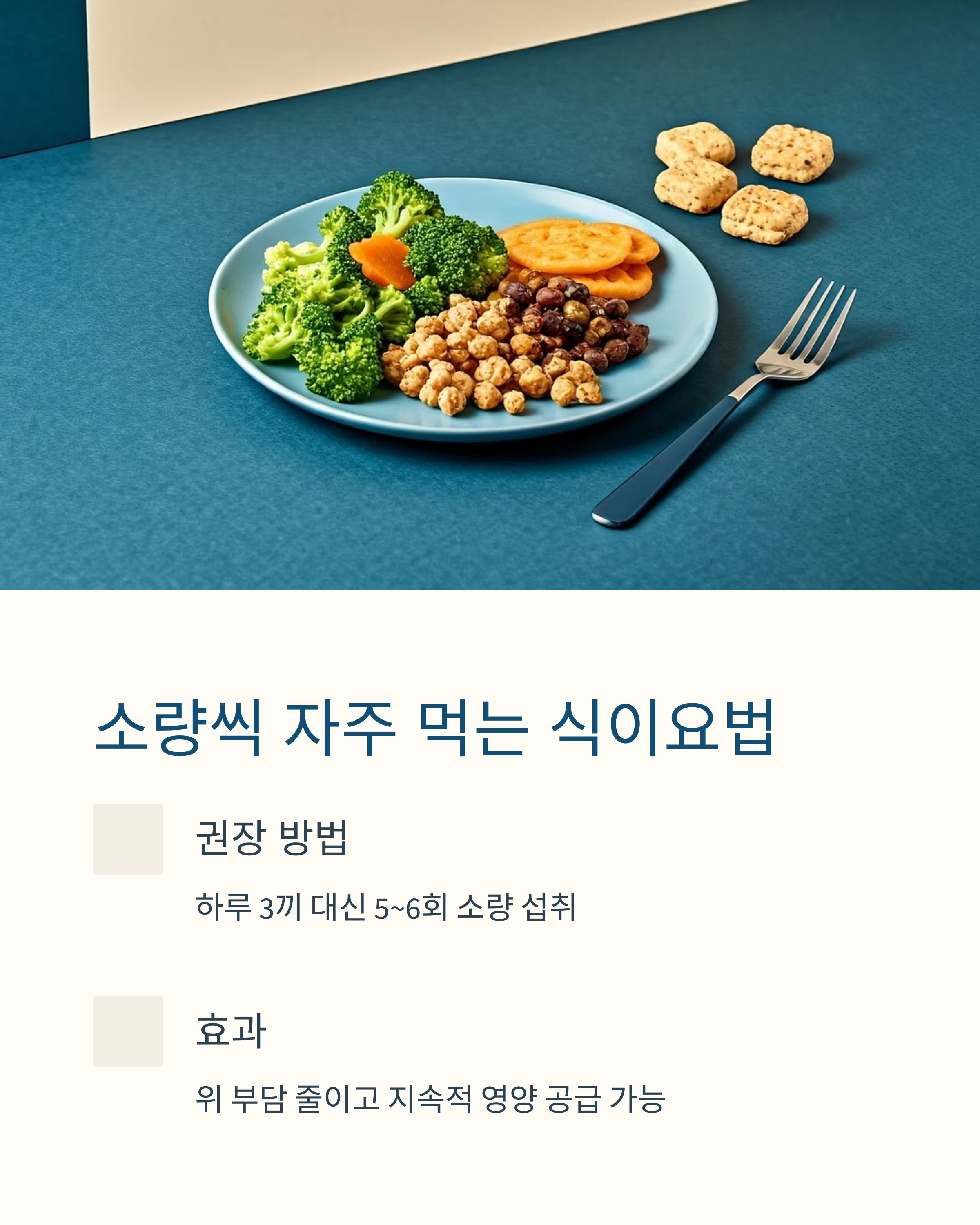 항암 메스꺼움 완화를 위한 식이요법