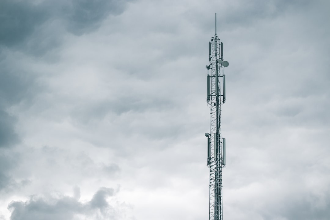 MVNO (Mobile Virtual Network Operator)