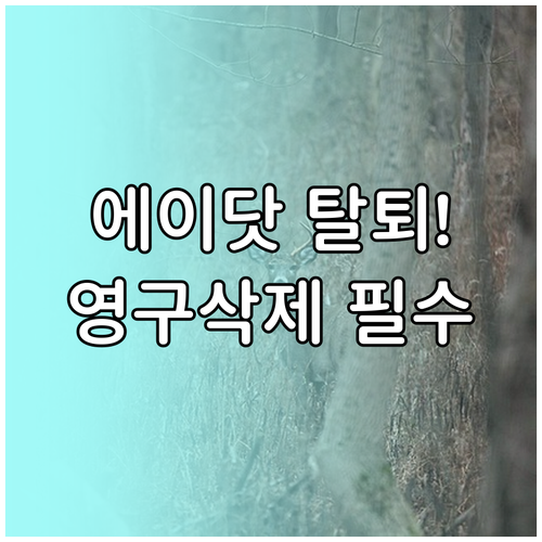 SKT 에이닷 안전한 서비스 종료 방..