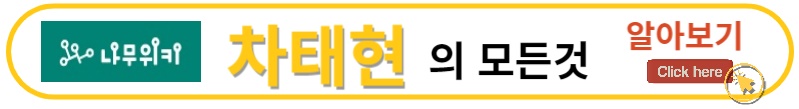 차태현