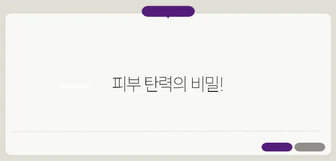 콜라겐 많은 음식 이보다 자세히 설명할순없다