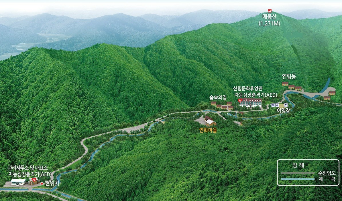 용대자연휴양림 배치도