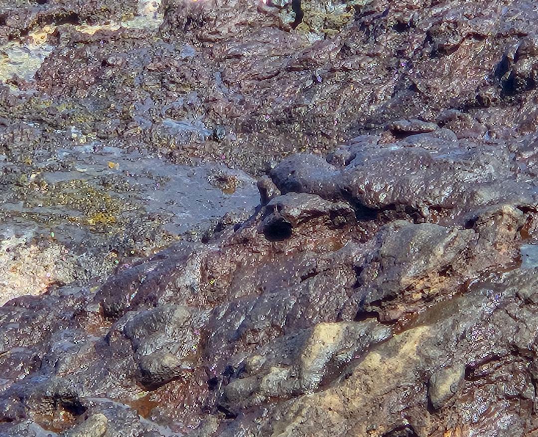 할로나 블로우홀 파도