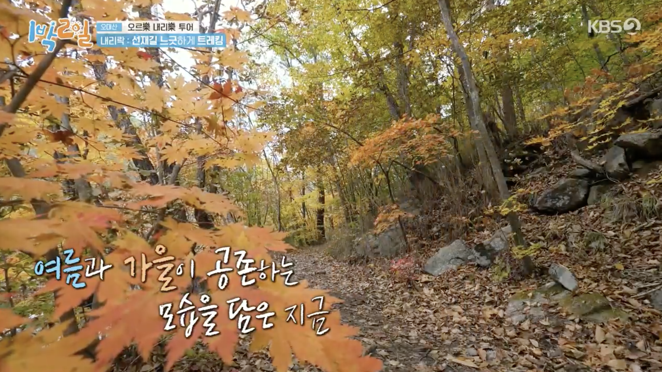 오대산 선재길 가을