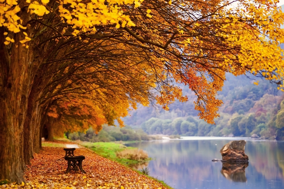 영동 가볼만한곳 베스트10