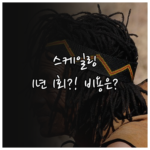 치석 제거술 연 1회 건강보험 적용 ..