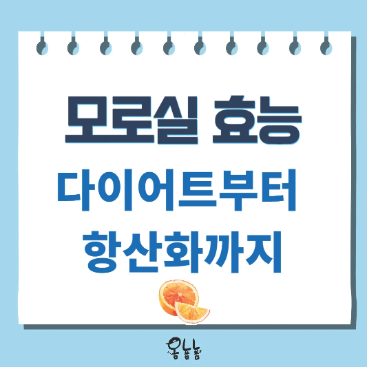 모로실 효능