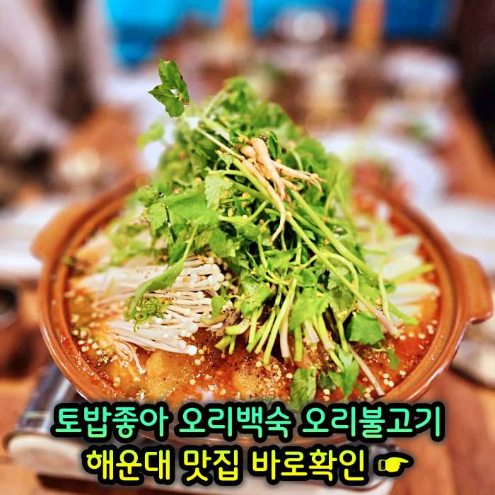 부산 해운대 맛집 무항생제 1등급 오리 백숙