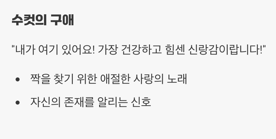 사랑을 노래하는 세레나데