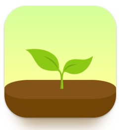 Forest 앱