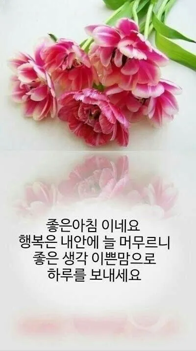 아침인사 이쁜글 다운로드_2