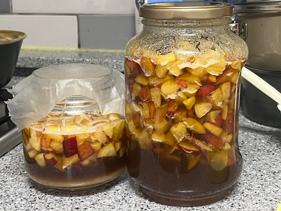 자두청 활용 보관 사진