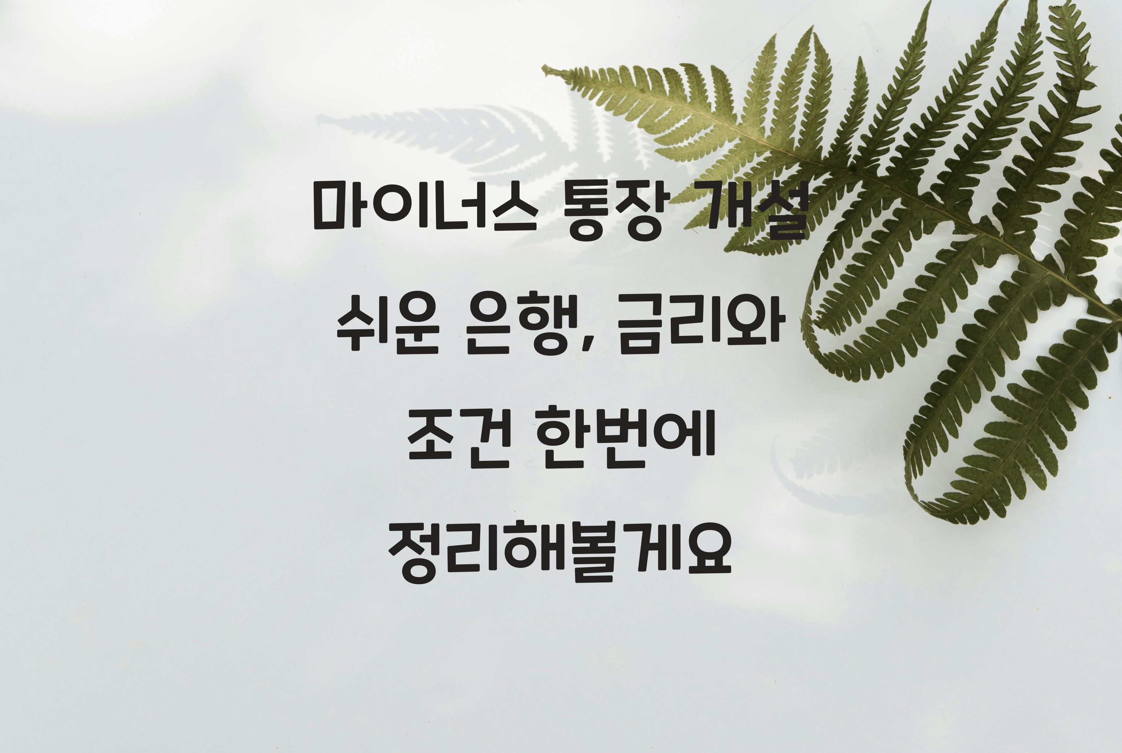 마이너스 통장 개설 쉬운 은행