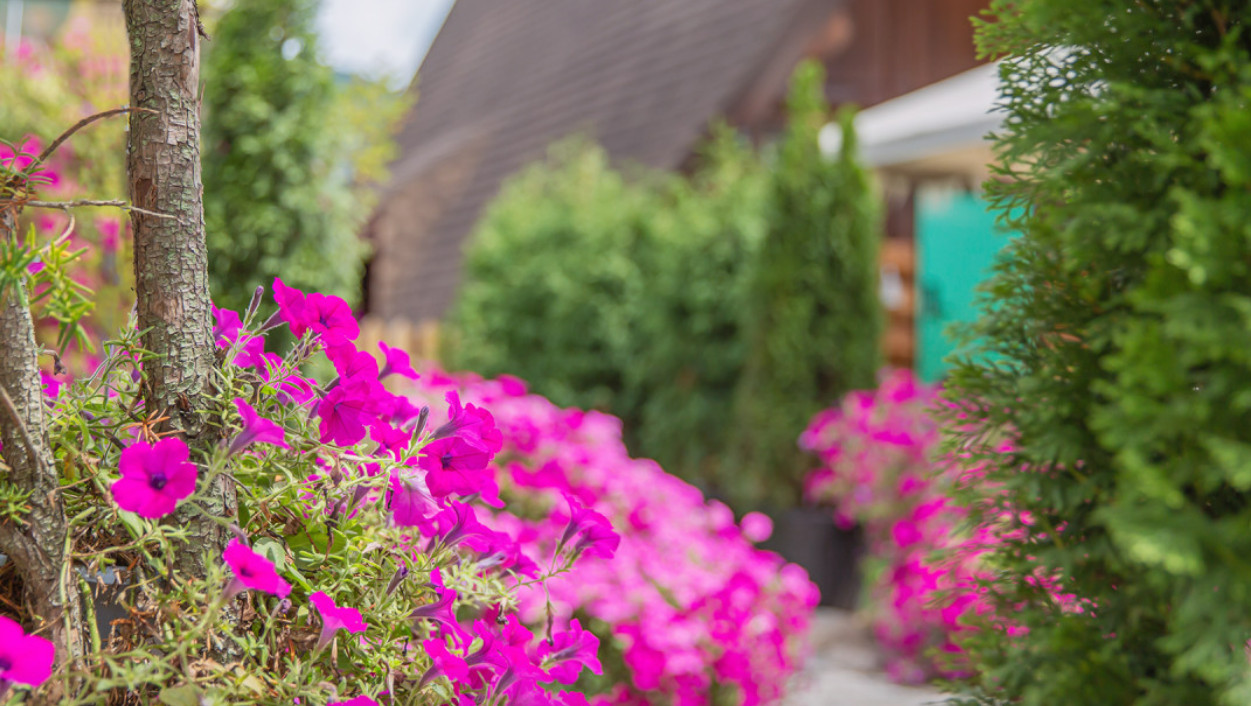 한국기행 밀양 동남아 펜션